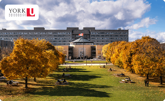 York University